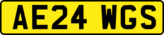 AE24WGS