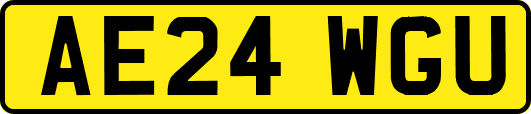 AE24WGU
