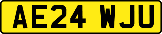 AE24WJU