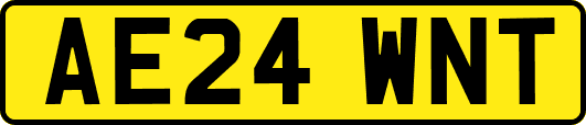 AE24WNT