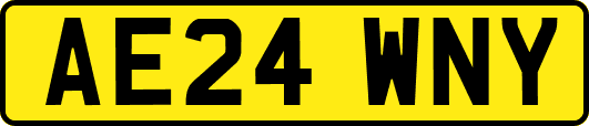 AE24WNY