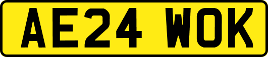 AE24WOK