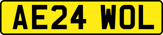 AE24WOL