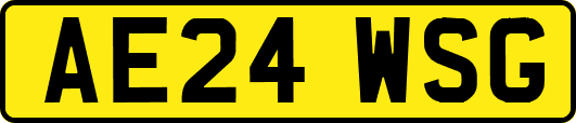 AE24WSG