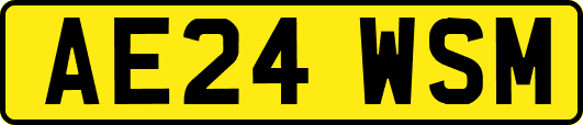 AE24WSM