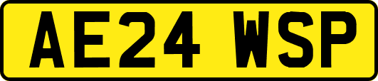 AE24WSP