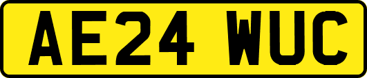 AE24WUC