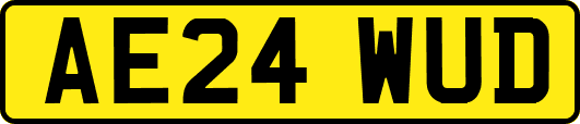 AE24WUD
