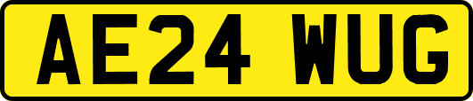 AE24WUG