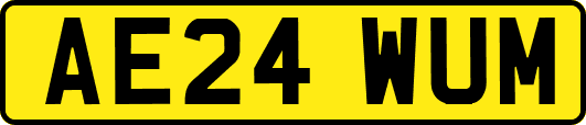 AE24WUM