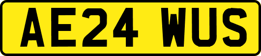 AE24WUS