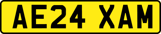 AE24XAM