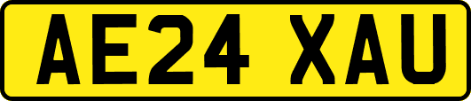 AE24XAU