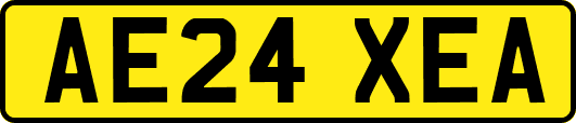 AE24XEA