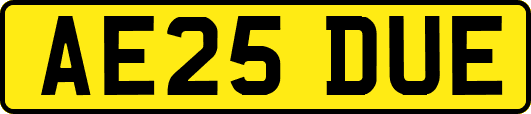 AE25DUE
