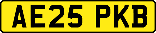 AE25PKB
