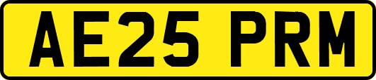 AE25PRM