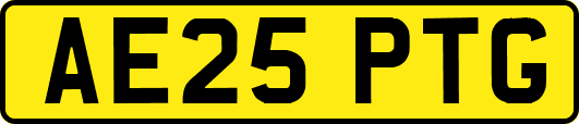 AE25PTG