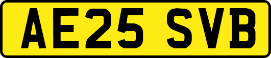 AE25SVB