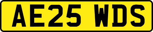 AE25WDS