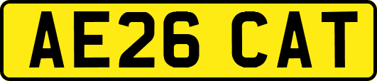 AE26CAT