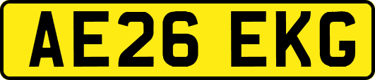 AE26EKG