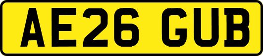 AE26GUB