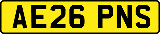 AE26PNS