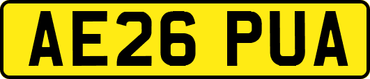 AE26PUA