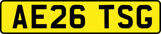 AE26TSG