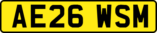 AE26WSM