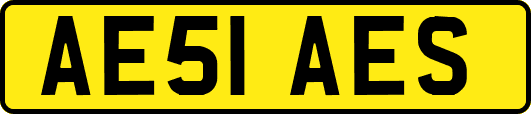 AE51AES