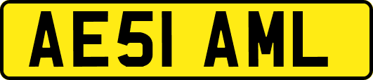 AE51AML