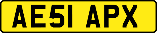 AE51APX