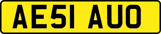 AE51AUO