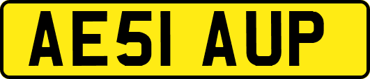 AE51AUP