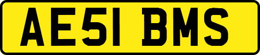 AE51BMS