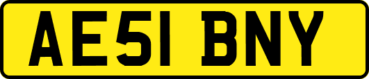 AE51BNY