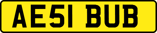 AE51BUB