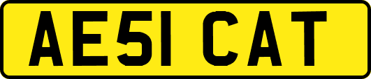 AE51CAT