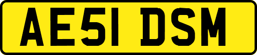 AE51DSM