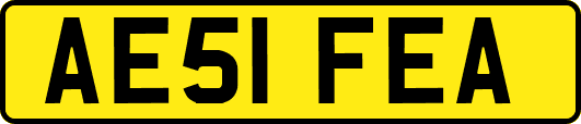 AE51FEA