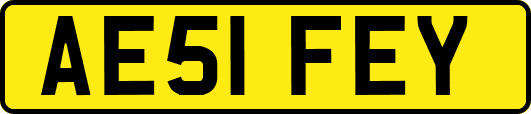 AE51FEY