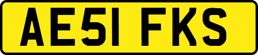 AE51FKS