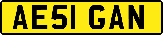 AE51GAN