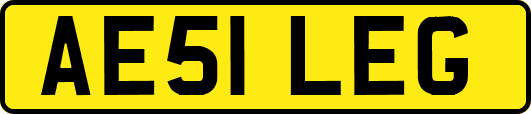 AE51LEG