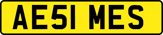 AE51MES