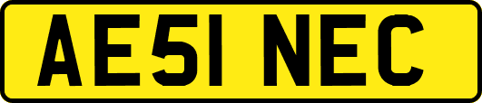 AE51NEC