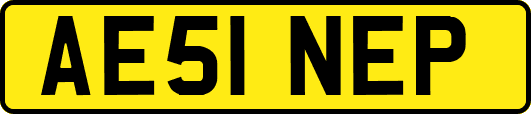 AE51NEP