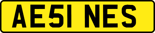 AE51NES